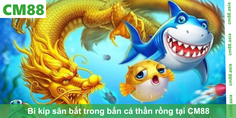 Bí kíp săn bắt trong bắn cá thần rồng tại CM88
