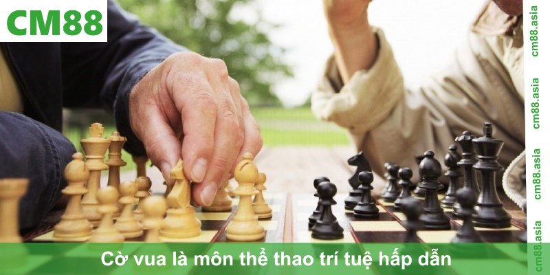 Giới thiệu về cờ vua