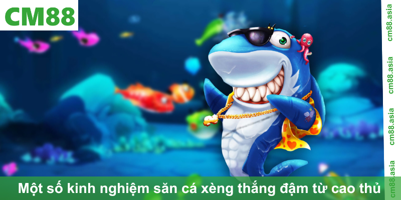 Một số kinh nghiệm săn cá xèng thắng đậm từ cao thủ 